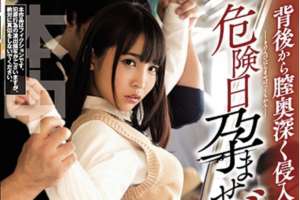 枢木あおい 背後から膣奥深く侵入する鬼畜チ○ポイキ堕ちる危険日孕ませバック痴漢で８回の絶頂